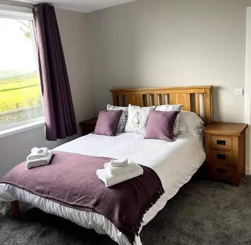 Quina, A Newly Renovated House.